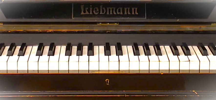 Die Musik liebt